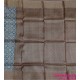 Tussar silk